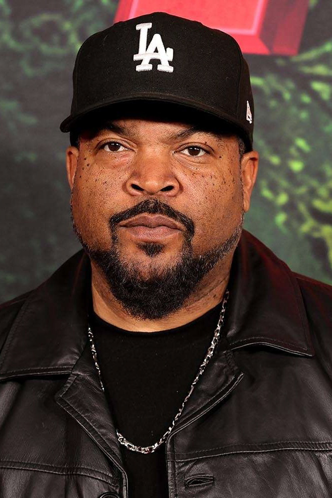 Ice Cube Profile